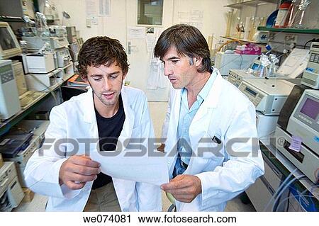 colleague, companion, human View Large Photo Image Stock Image - colleague, companion, human. Fotosearch