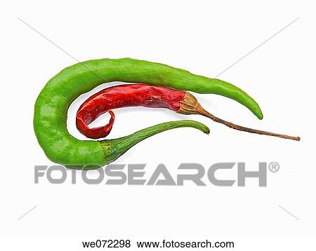 Common Chili. Capsicum annuum. Red and green chilies are kept together. Pune, Maharashtra, India. View Large Photo Image Stock Photo - Common Chili. Capsicum annuum. Red and green chilies are kept together. Pune, Maharashtra, India.. Fotosearch