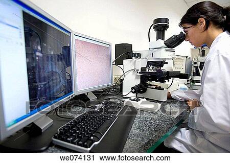 computer, Female, human View Large Photo Image Stock Image - computer, Female, human. Fotosearch