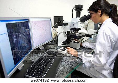 computer, Female, human View Large Photo Image Stock Image - computer, Female, human. Fotosearch