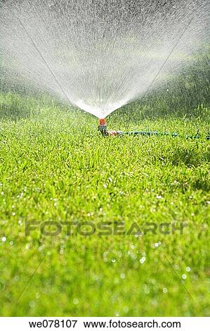 concept, garden, detail, day, action View Large Photo Image Stock Photo - concept, garden, detail, day, action. Fotosearch
