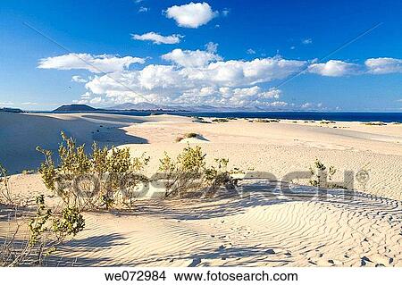 Corralejo dunes, Fuerteventura. Canary Islands, Spain View Large Photo Image Picture - Corralejo dunes, Fuerteventura. Canary Islands, Spain. Fotosearch