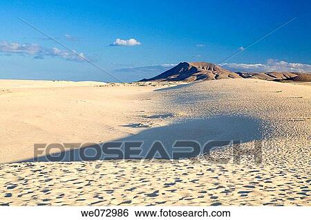 Corralejo dunes, Fuerteventura. Canary Islands, Spain View Large Photo Image Stock Photograph - Corralejo dunes, Fuerteventura. Canary Islands, Spain. Fotosearch