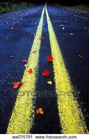 COUNTRY ROAD FALLEN. LEAFS PENNSYLVANIA. USA View Large Photo Image Stock Image - COUNTRY ROAD FALLEN. LEAFS PENNSYLVANIA. USA. Fotosearch