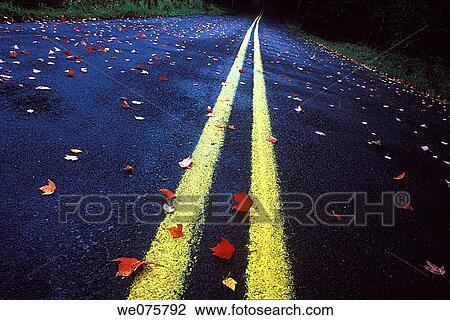 COUNTRY ROAD FALLEN. LEAFS PENNSYLVANIA. USA View Large Photo Image Stock Image - COUNTRY ROAD FALLEN. LEAFS PENNSYLVANIA. USA. Fotosearch