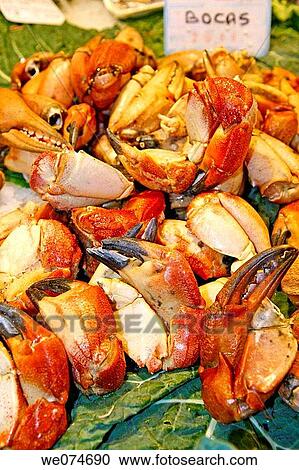 Crab claws for sale at La Boqueria market, Barcelona. Catalonia, Spain View Large Photo Image Stock Image - Crab claws for sale at La Boqueria market, Barcelona. Catalonia, Spain. Fotosearch