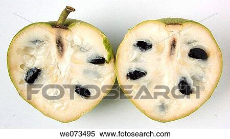 Custard Apple Stock Photography We073495 Fotosearch