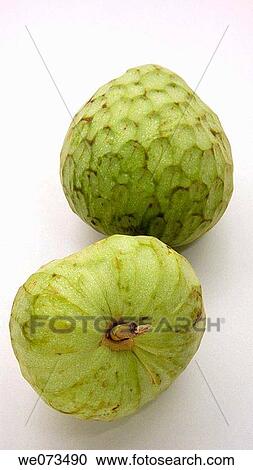 Custard apples View Large Photo Image Stock Image - Custard apples. Fotosearch
