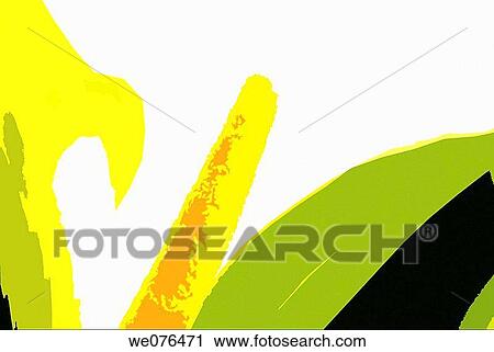 Digital image of a flower, happy and colourful. The photo of the flower was taken in the north island of New Zealand View Large Photo Image Stock Image - Digital image of a flower, happy and colourful. The photo of the flower was taken in the north island of New Zealand. Fotosearch