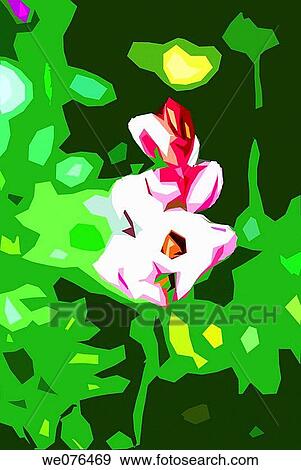 Digital image of a flower, happy and colourful. The photo of the flower was taken in the north island of New Zealand View Large Photo Image Stock Photo - Digital image of a flower, happy and colourful. The photo of the flower was taken in the north island of New Zealand. Fotosearch