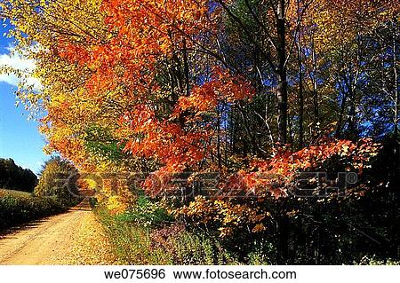 Stock Photograph - DIRT ROAD WITH FALL. FOLIAGE WESTERN PENNSYLVANIA. USA. Fotosearch