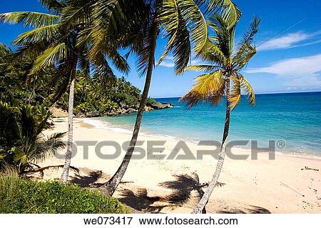 Dominican Republic, Caribbean View Large Photo Image Stock Photo - Dominican Republic, Caribbean. Fotosearch