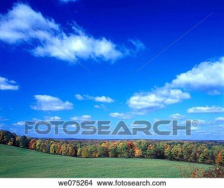 FALL LANDSCAPE View Large Photo Image Picture - FALL LANDSCAPE. Fotosearch