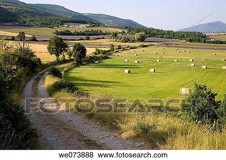 Fields around Sault, in Provence, France View Large Photo Image Stock Photo - Fields around Sault, in Provence, France. Fotosearch