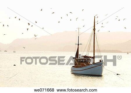 Fishing boat, Oban. Scotland, UK View Large Photo Image Stock Photo - Fishing boat, Oban. Scotland, UK. Fotosearch