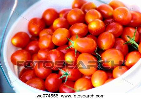 Freshly picked Cherry Tomatoes. Solanum lycopersicon. August 2007, Maryland, USA View Large Photo Image Stock Photograph - Freshly picked Cherry Tomatoes. Solanum lycopersicon. August 2007, Maryland, USA. Fotosearch