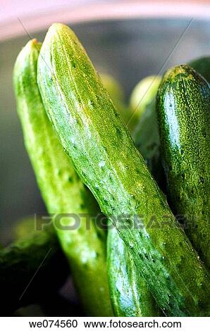 Freshly Picked Cucumbers. Cucumis sativus. July 2007 View Large Photo Image Stock Image - Freshly Picked Cucumbers. Cucumis sativus. July 2007. Fotosearch