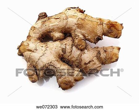 Ginger View Large Photo Image Stock Image - Ginger. Fotosearch