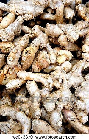 Ginger. Taiwan, China View Large Photo Image Stock Image - Ginger. Taiwan, China. Fotosearch