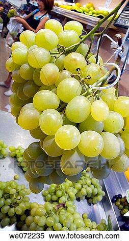 Grapes in market View Large Photo Image Stock Photography - Grapes in market. Fotosearch