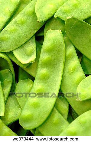 Picture - Green beans for sale at La Boqueria market. Barcelona, Catalonia, Spain. Fotosearch