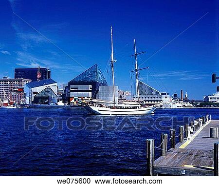 INNER HARBOR. DOWNTOWN SKYLINE. BALTIMORE MARYLAND. USA View Large Photo Image Stock Image - INNER HARBOR. DOWNTOWN SKYLINE. BALTIMORE MARYLAND. USA. Fotosearch