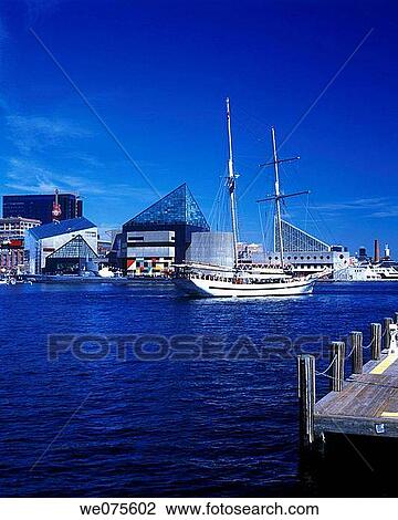 INNER HARBOR. DOWNTOWN SKYLINE. BALTIMORE MARYLAND. USA View Large Photo Image Stock Image - INNER HARBOR. DOWNTOWN SKYLINE. BALTIMORE MARYLAND. USA. Fotosearch