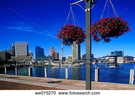 INNER HARBOR SKYLINE. BALTIMORE MARYLAND. USA View Large Photo Image Stock Image - INNER HARBOR SKYLINE. BALTIMORE MARYLAND. USA. Fotosearch