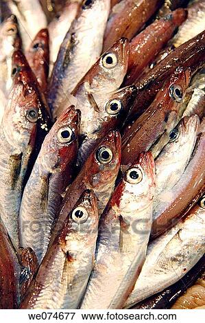 Stock Photo - Jacks for sale at La Boqueria market, Barcelona. Catalonia, Spain. Fotosearch