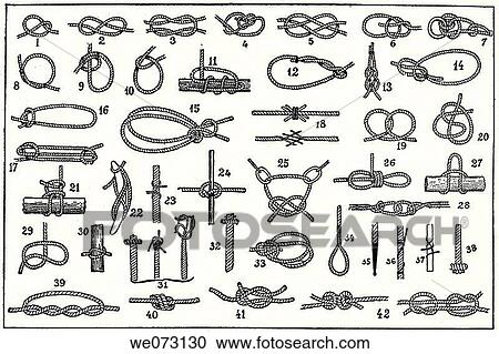 Stock Image - Knots. Fotosearch