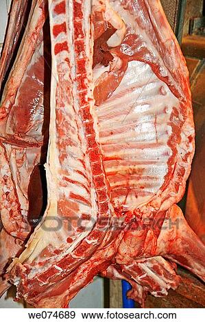 Lamb for sale at La Boqueria market, Barcelona. Catalonia, Spain View Large Photo Image Stock Photo - Lamb for sale at La Boqueria market, Barcelona. Catalonia, Spain. Fotosearch