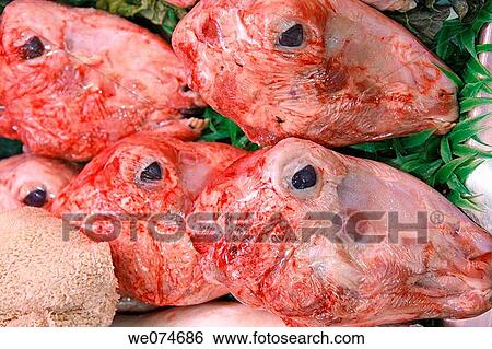 Lamb heads for sale at La Boqueria market, Barcelona. Catalonia, Spain View Large Photo Image Stock Photograph - Lamb heads for sale at La Boqueria market, Barcelona. Catalonia, Spain. Fotosearch