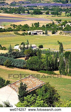 Lavende around the city of Sault in Vaucluse, Provence, France View Large Photo Image Stock Photo - Lavende around the city of Sault in Vaucluse, Provence, France. Fotosearch