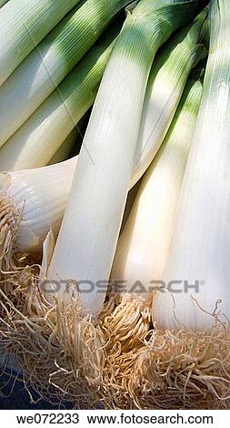 Stock Image - Leeks. Fotosearch