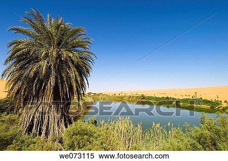 Stock Photography - Mafu lake, Erg Awbari, Sahara desert, Fezzan, Libya.. Fotosearch