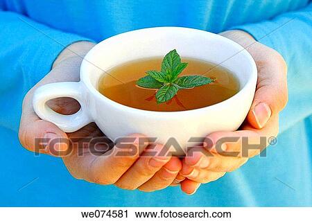 Mint infusion View Large Photo Image Stock Image - Mint infusion. Fotosearch