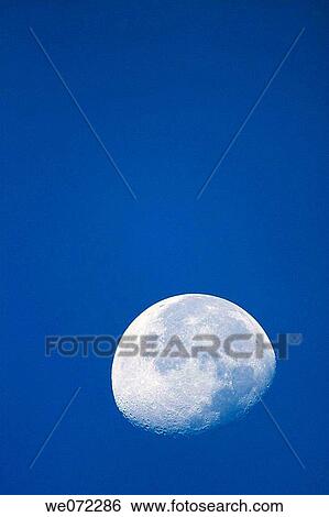 Stock Photograph - Moon. Fotosearch