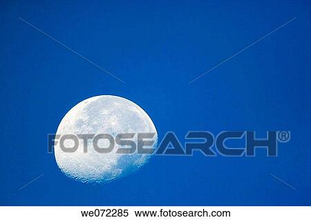 Moon View Large Photo Image Stock Photography - Moon. Fotosearch