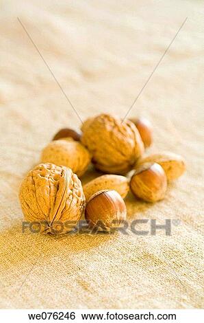 Nuts View Large Photo Image Stock Photograph - Nuts. Fotosearch