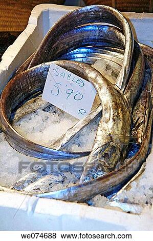 Oarfish for sale at La Boqueria market, Barcelona. Catalonia, Spain View Large Photo Image Stock Photo - Oarfish for sale at La Boqueria market, Barcelona. Catalonia, Spain. Fotosearch