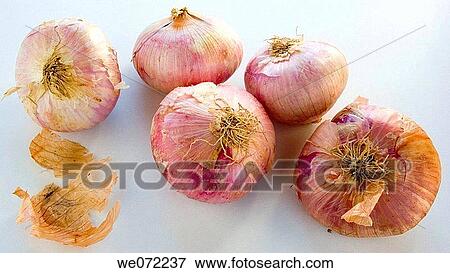 Onions View Large Photo Image Stock Photo - Onions. Fotosearch