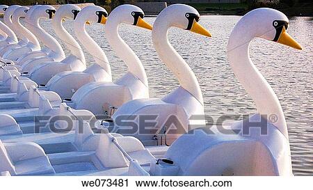 Paddleboats View Large Photo Image Stock Image - Paddleboats. Fotosearch