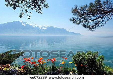 Stock Photo - Pennine Alps and Lake Geneva viewed from the waterfront at Montreux, Switzerland, Europe. Fotosearch