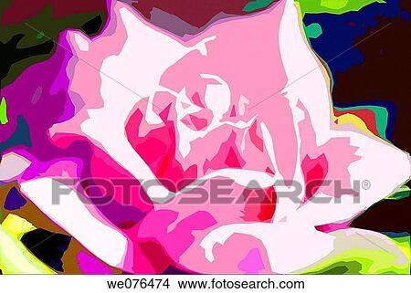 Picture - Pink rose, digital image. Fotosearch