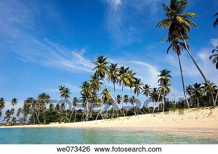 Playa Rinc? n, Samanß peninsula, Dominican Republic, Caribbean View Large Photo Image Stock Photograph - Playa Rinc? n, Samanß peninsula, Dominican Republic, Caribbean. Fotosearch