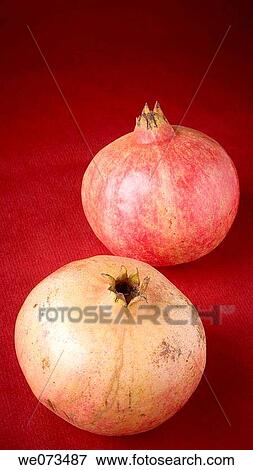 Pomegranates View Large Photo Image Stock Photo - Pomegranates. Fotosearch