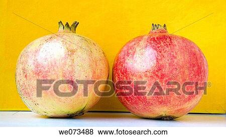 Pomegranates View Large Photo Image Stock Photo - Pomegranates. Fotosearch