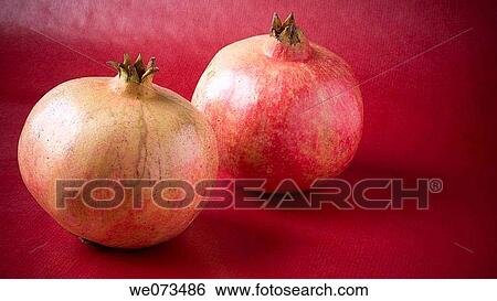 Pomegranates View Large Photo Image Stock Photograph - Pomegranates. Fotosearch