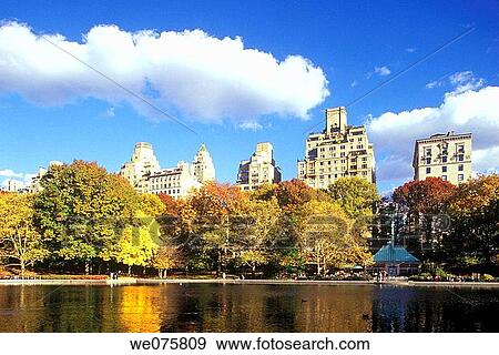 POND CENTRAL PARK. MANHATTAN NEW YORK. USA View Large Photo Image Stock Photo - POND CENTRAL PARK. MANHATTAN NEW YORK. USA. Fotosearch