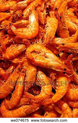 Prawns for sale at La Boqueria market, Barcelona. Catalonia, Spain View Large Photo Image Stock Photography - Prawns for sale at La Boqueria market, Barcelona. Catalonia, Spain. Fotosearch